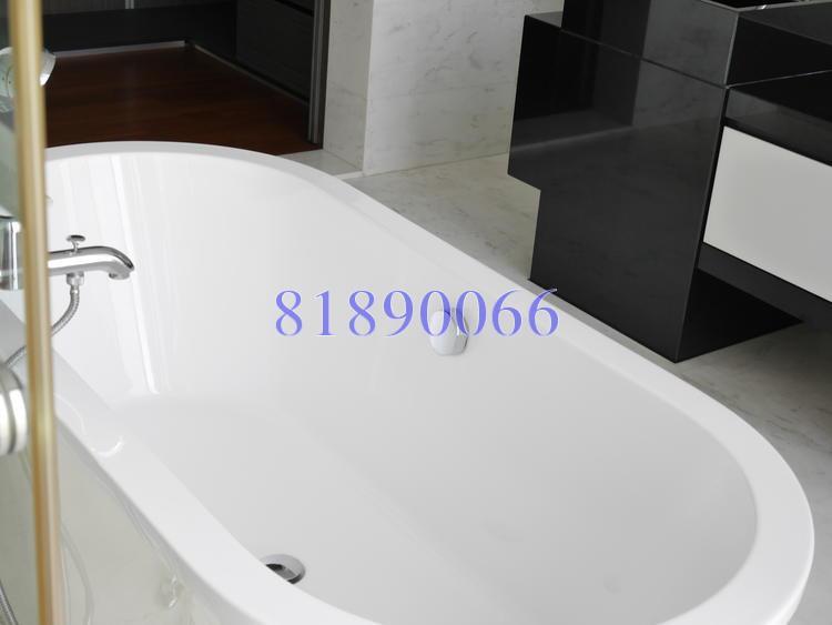 The Trizon (D10), Condominium #118274832